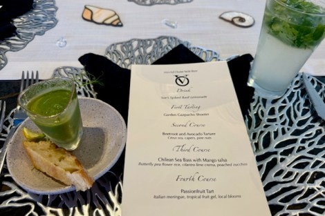 Review img # 24 of the yacht OCEAN VIBES