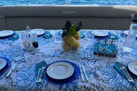 Review img # 11 of the yacht Resilience