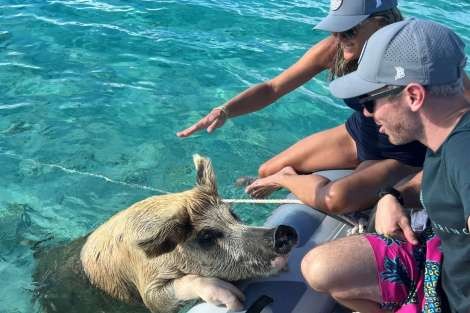 Review img # 62 of the yacht UNWAVERING